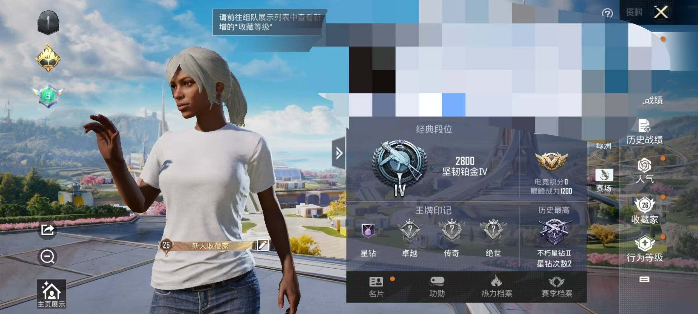 HPEY3335343和平精英账号详情图6