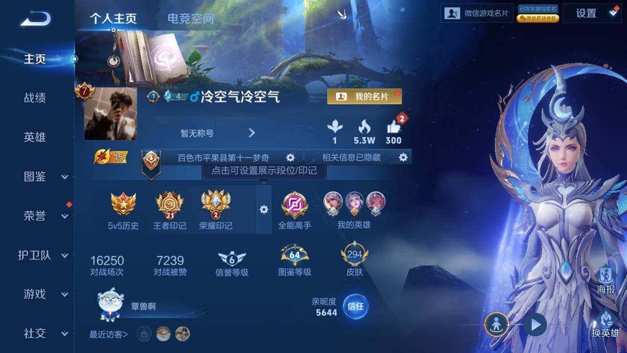 WZLX3297400王者荣耀账号详情图7