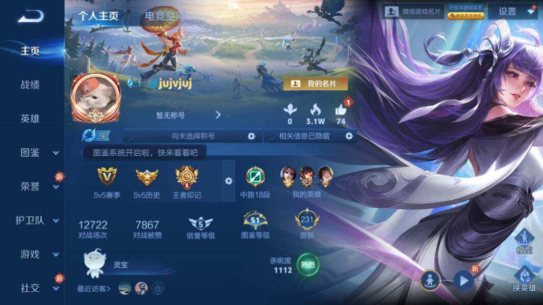 WZLX3297412王者荣耀账号详情图7