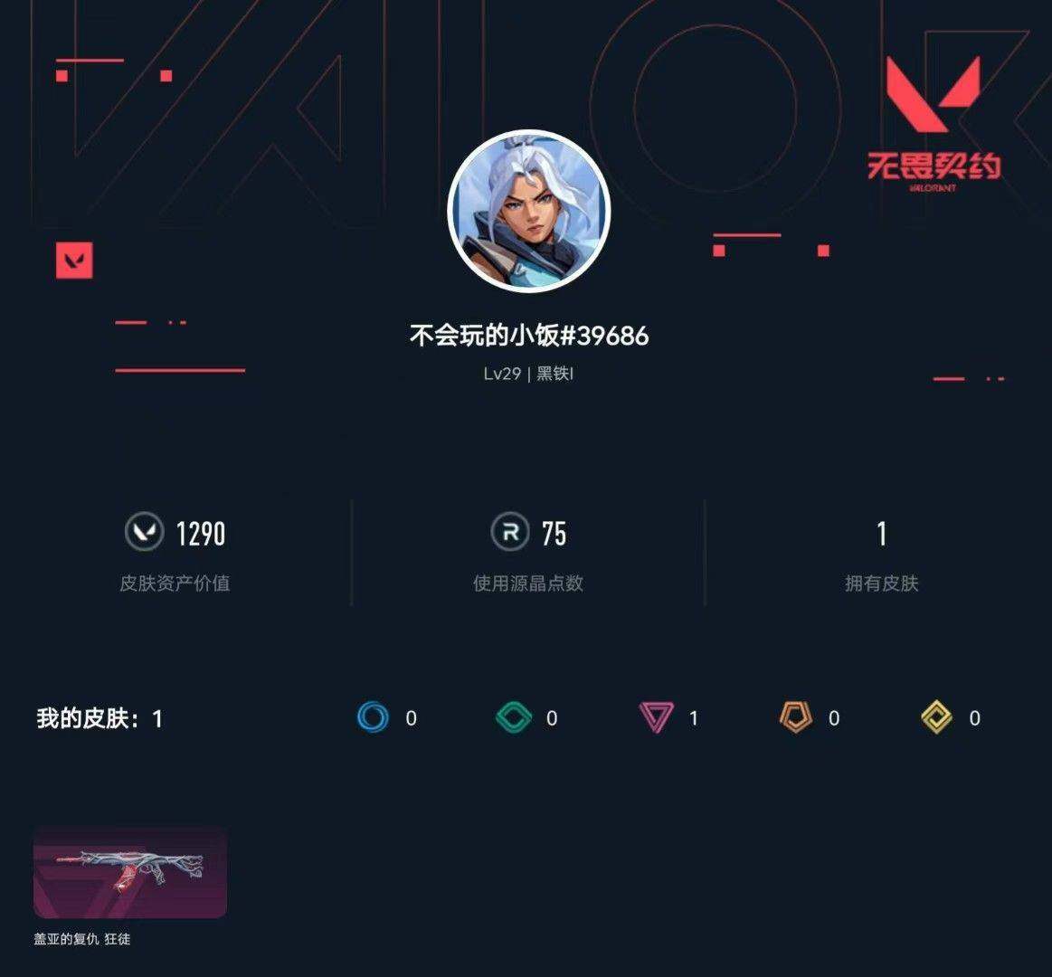 WWQXL314466无畏契约账号详情图3