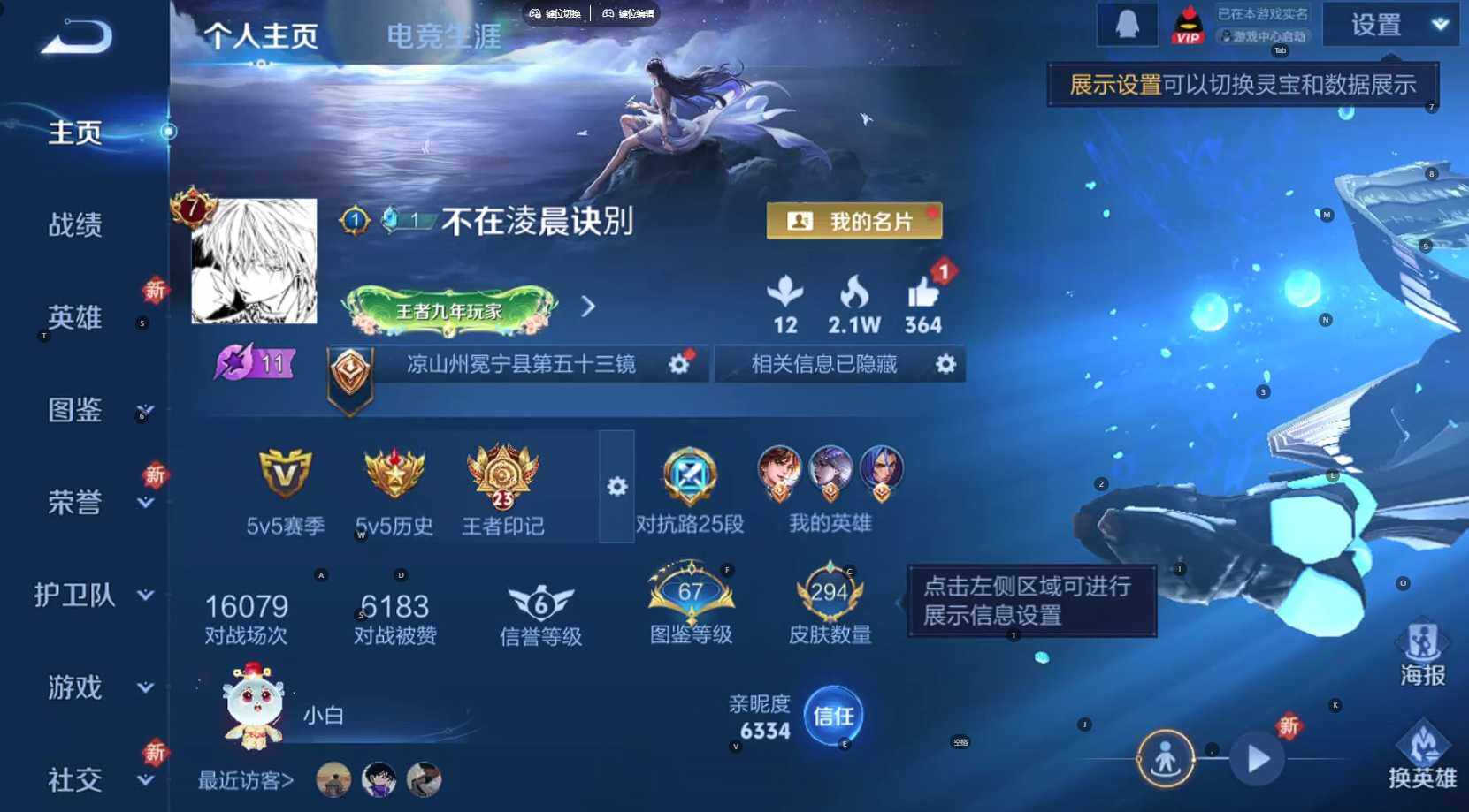 王者荣耀账号安卓QQ123英雄-294皮肤-[]贵族等级: V7 英雄数: 123 皮肤数: 294 荣耀水晶: 鸣剑·