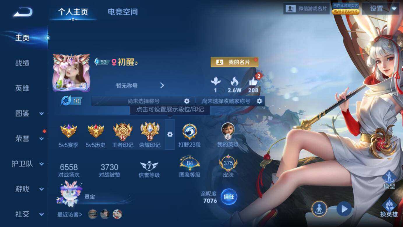 WZLX3297352王者荣耀账号详情图2