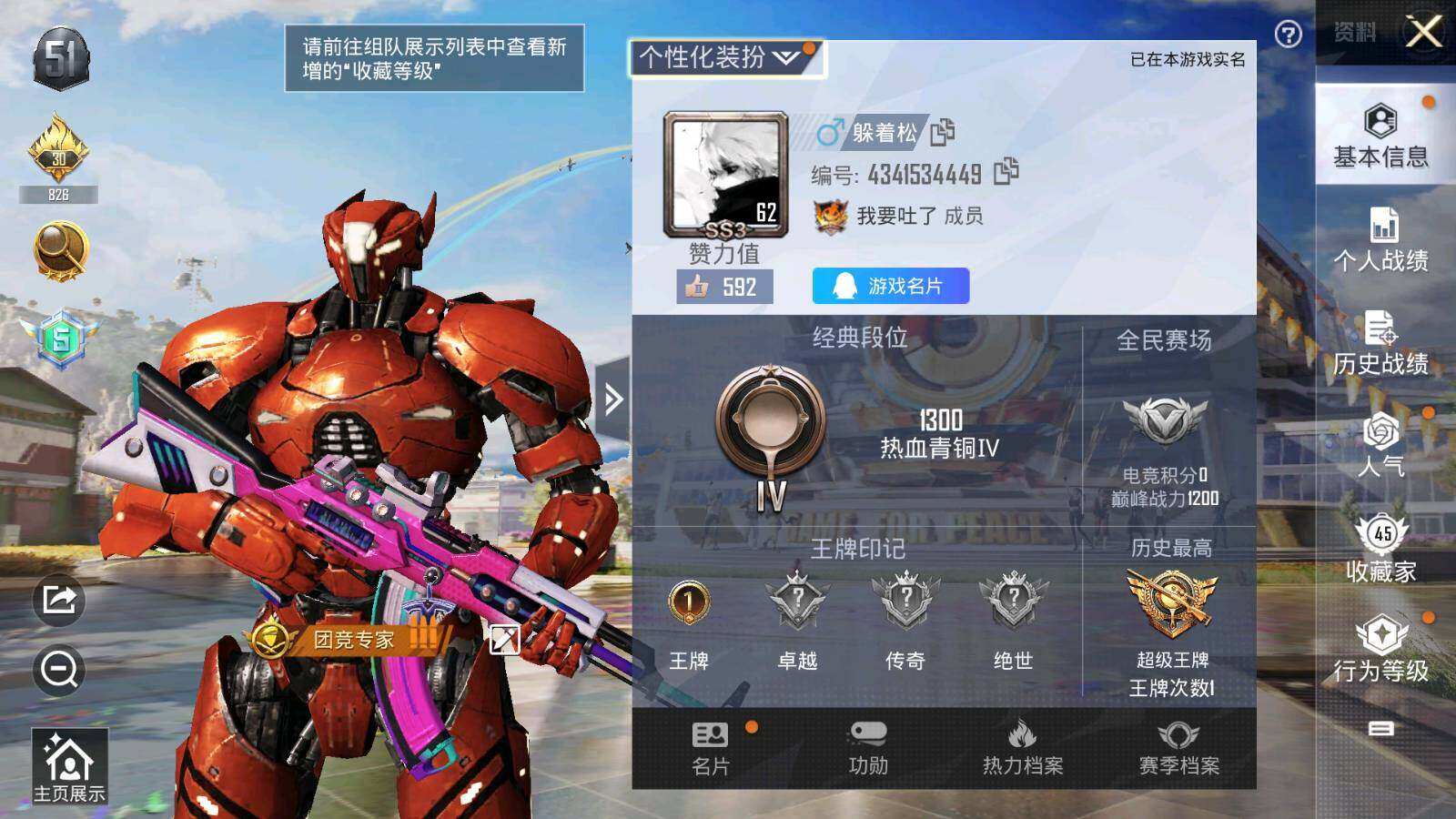 WZLX3297476王者荣耀账号详情图4