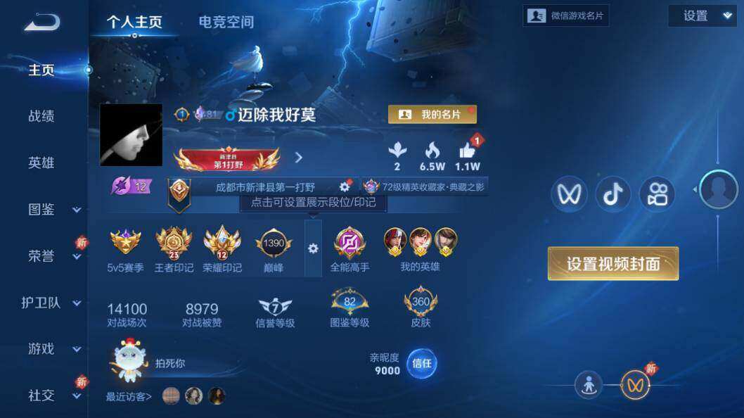 WZLX3297501王者荣耀账号详情图9