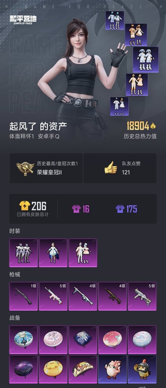 HPYYH3338159和平精英账号详情图2