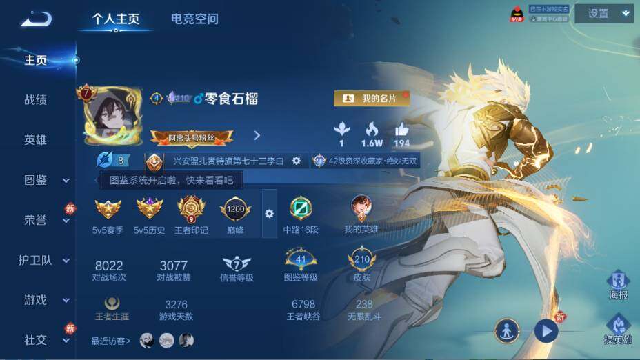 WZ0349282王者荣耀账号详情图13