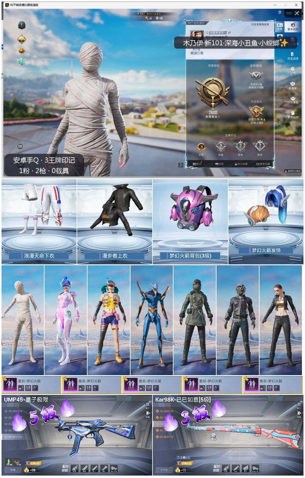 HPLX3339271和平精英账号详情图2 HPLX3339271和平精英账号详情图2