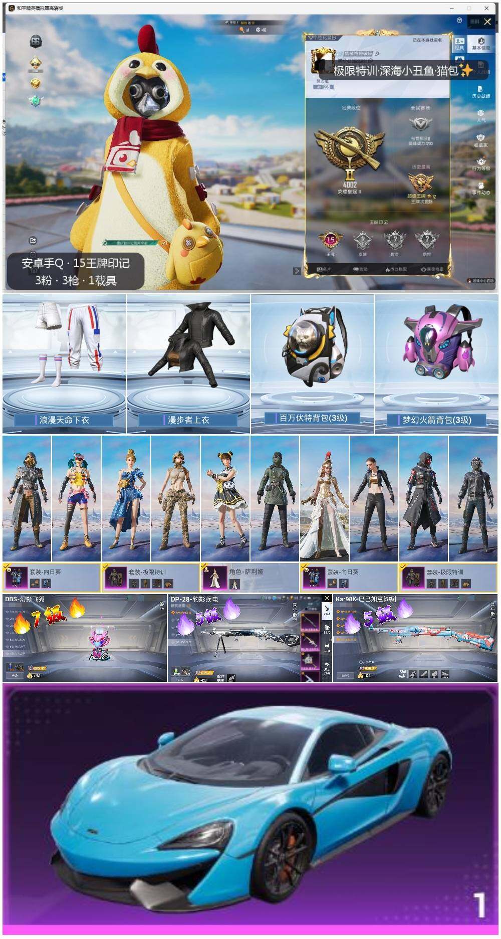 HPLX3339266和平精英账号详情图2