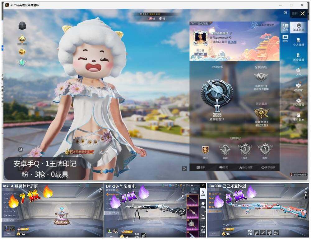 HPLE3339292和平精英账号详情图2