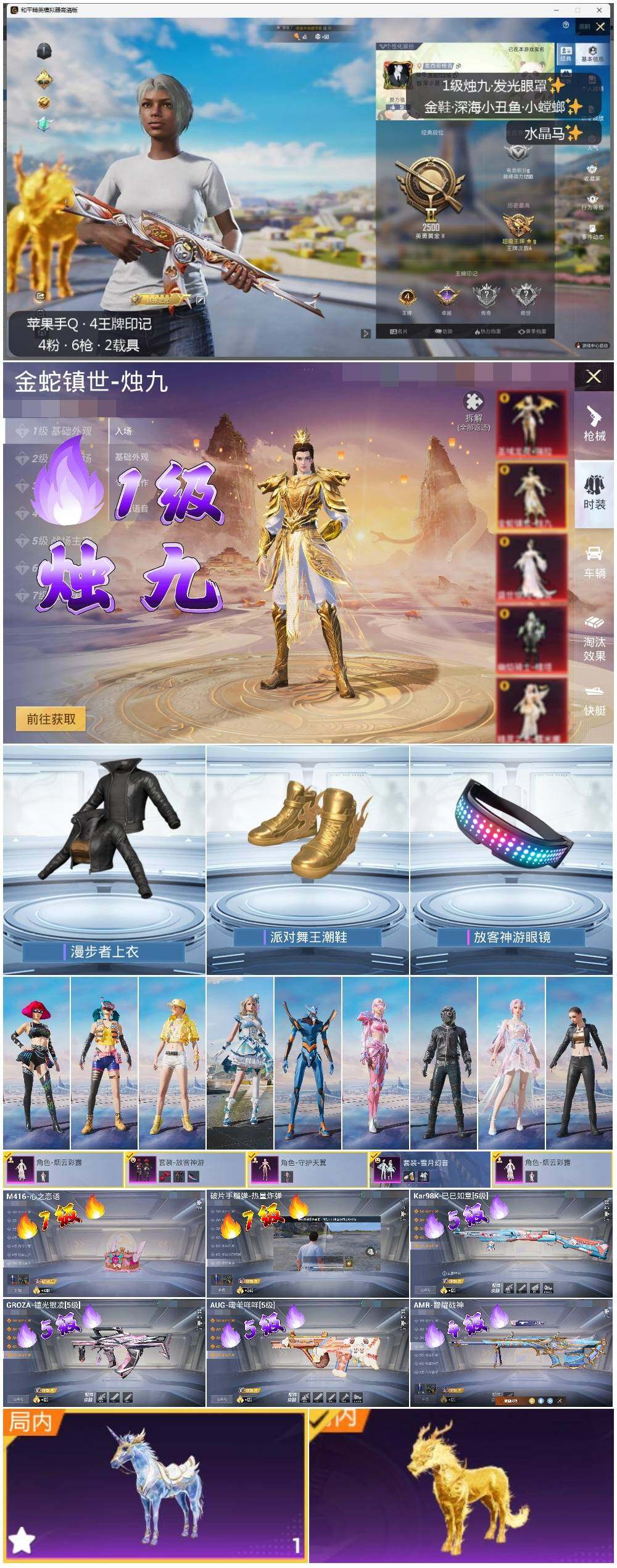 HPLE3340091和平精英账号详情图2