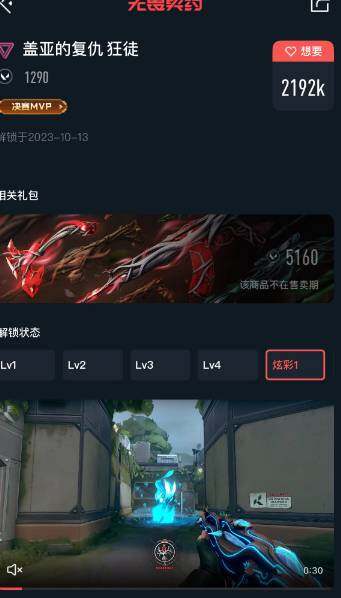 WWQEY315335无畏契约账号详情图6