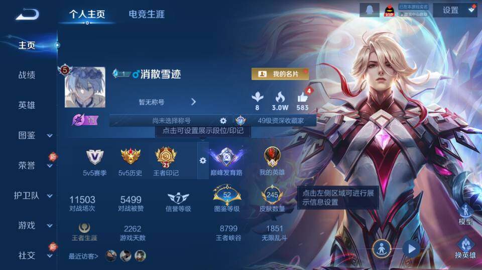 WZ0349293王者荣耀账号详情图8