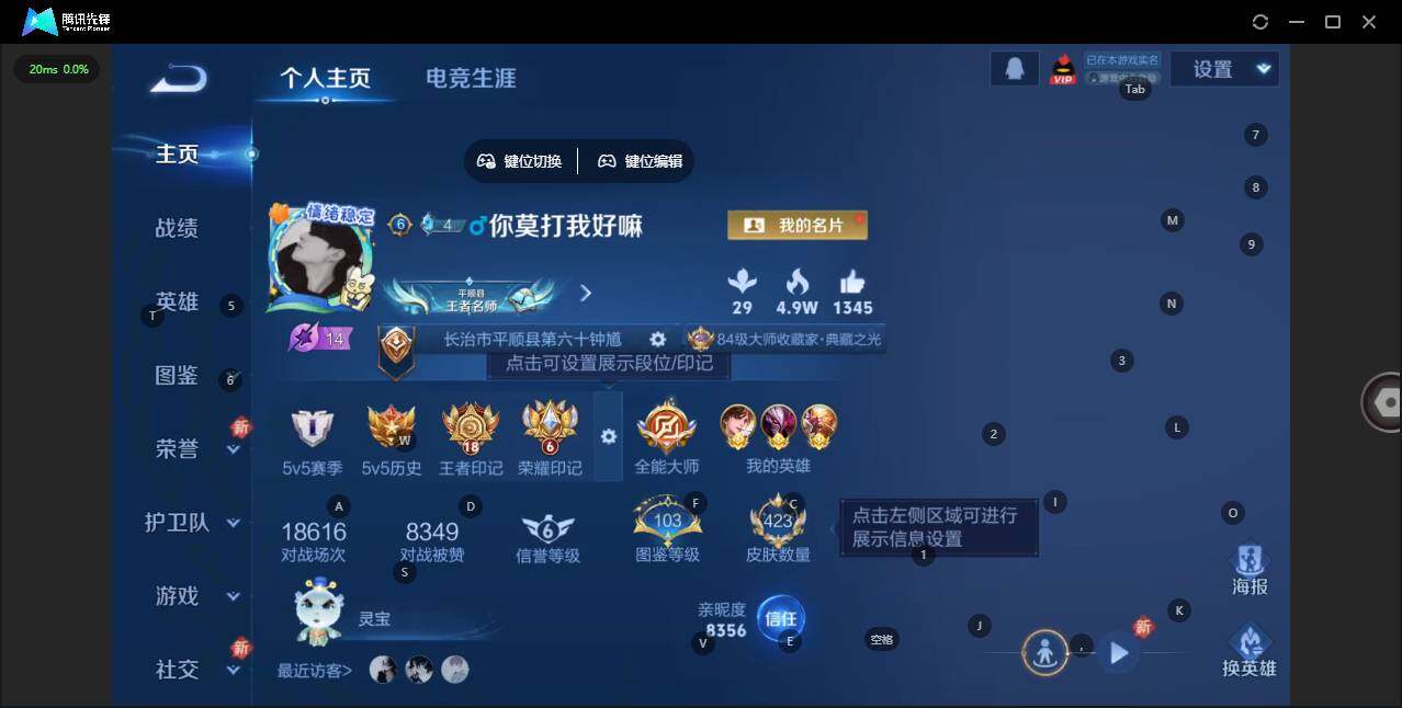 WZLX3335954王者荣耀账号详情图9