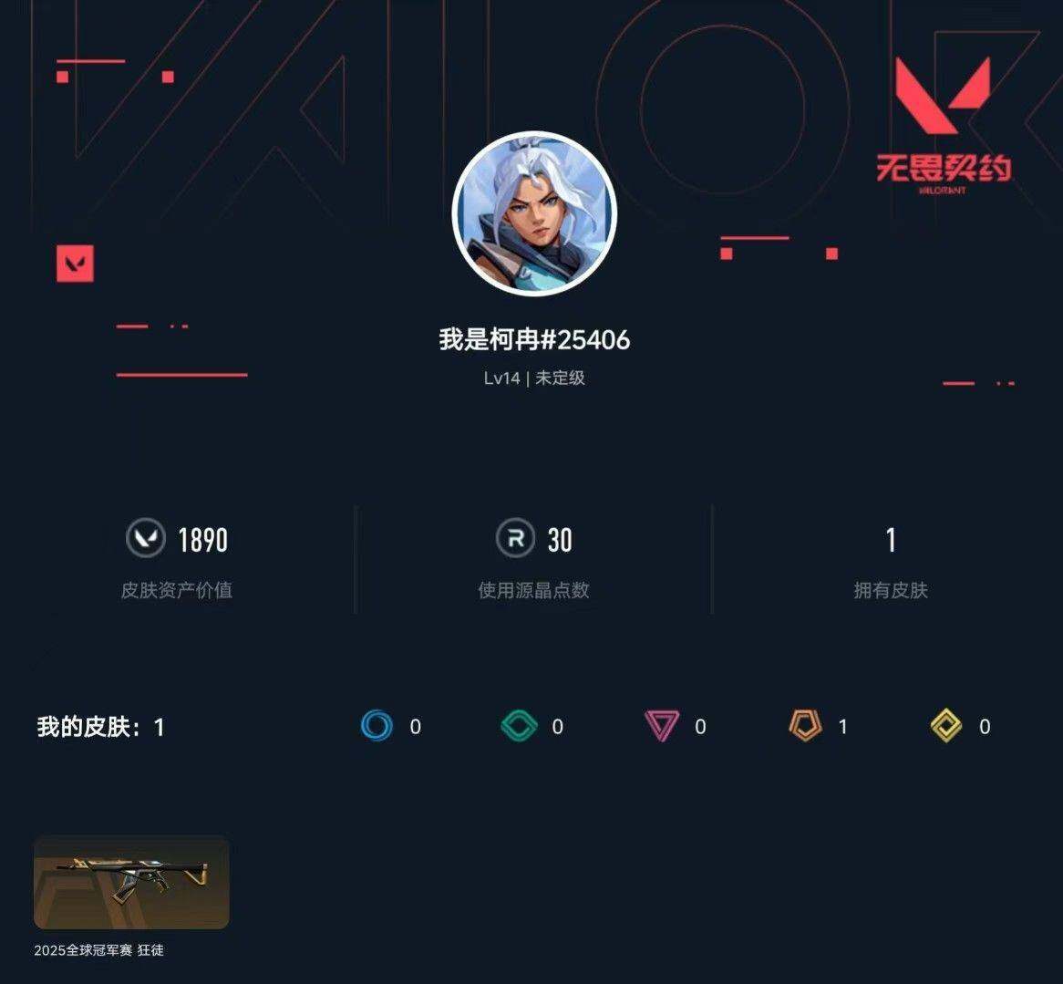 WWQXL316496无畏契约账号详情图3 WWQXL316496无畏契约账号详情图3