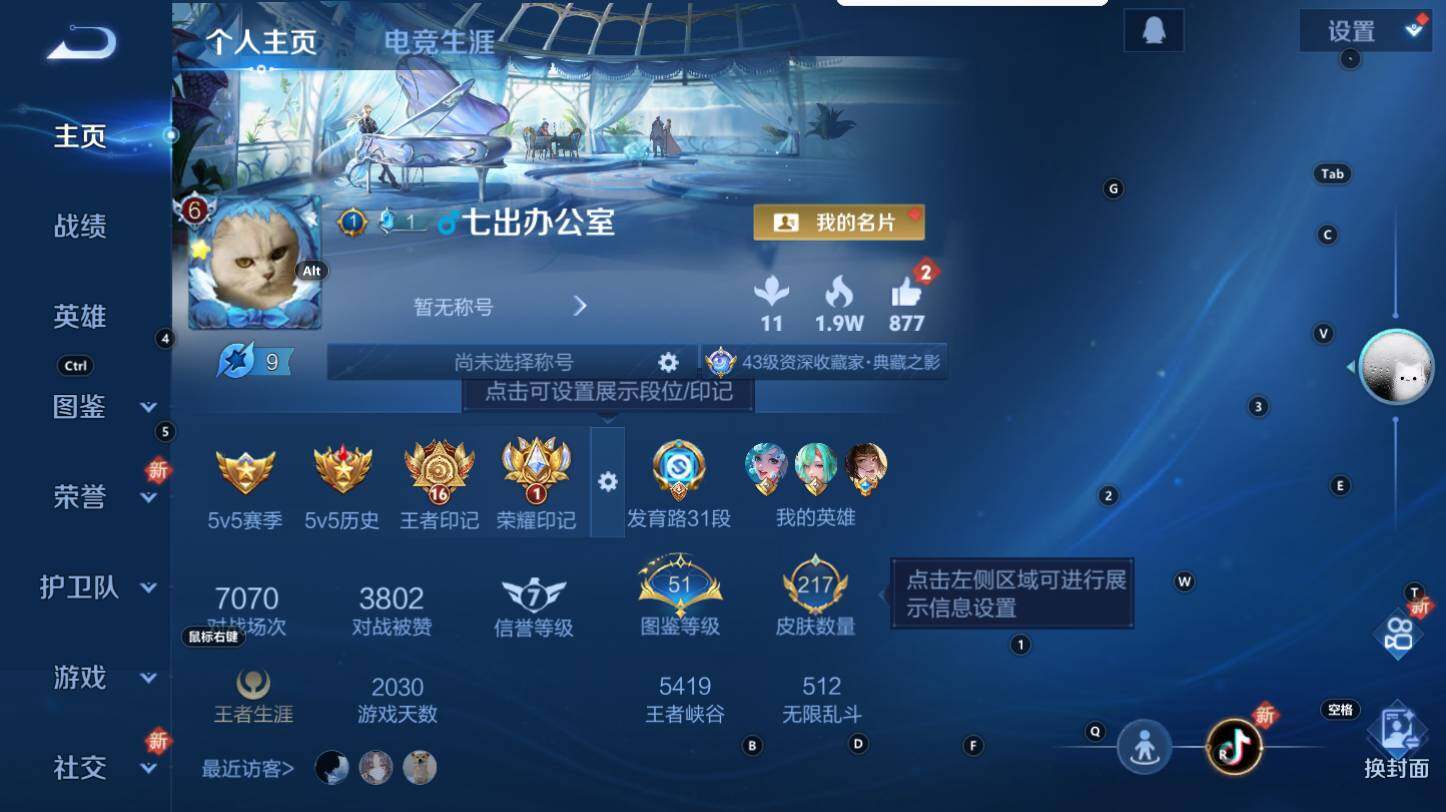 WZCMW3310111王者荣耀账号详情图6