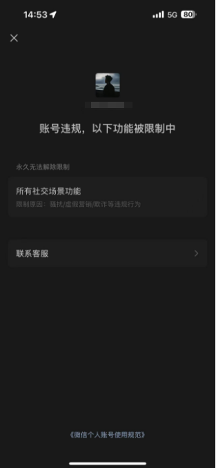 WZCMW3347685王者荣耀账号详情图14
