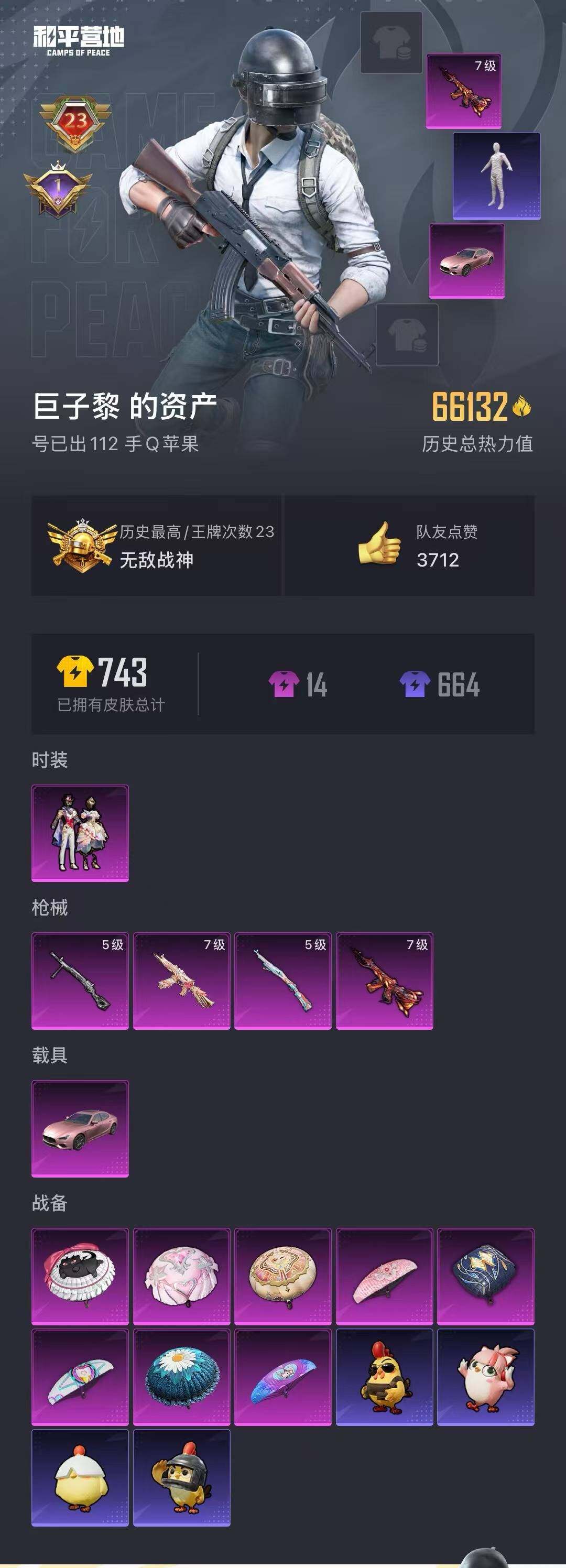 HPQM3352259和平精英账号详情图3 HPQM3352259和平精英账号详情图3