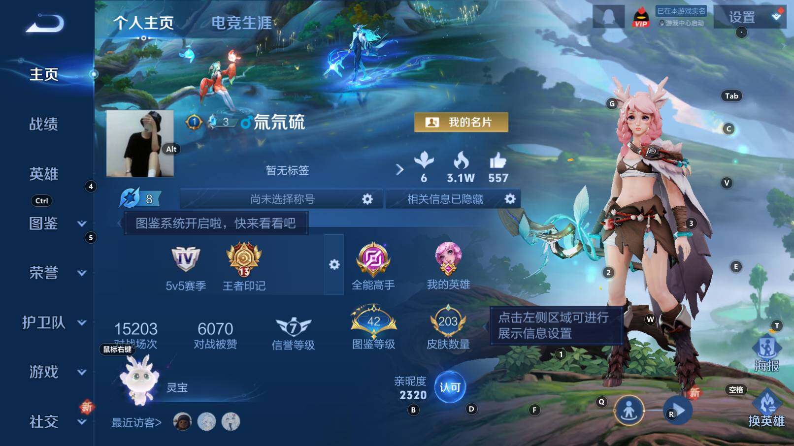 WZCMW3320138王者荣耀账号详情图8