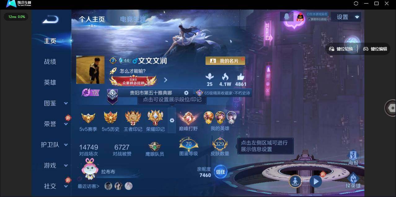 WZLX3331012王者荣耀账号详情图8