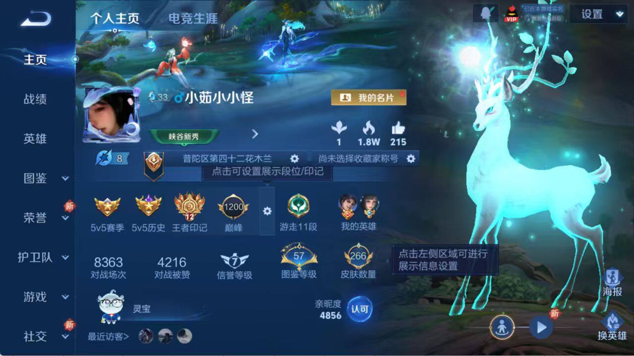 WZLX3379030王者荣耀账号详情图3