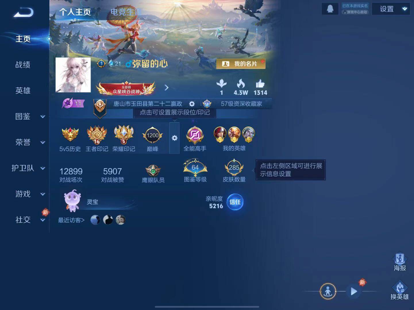 WZLX3379041王者荣耀账号详情图2