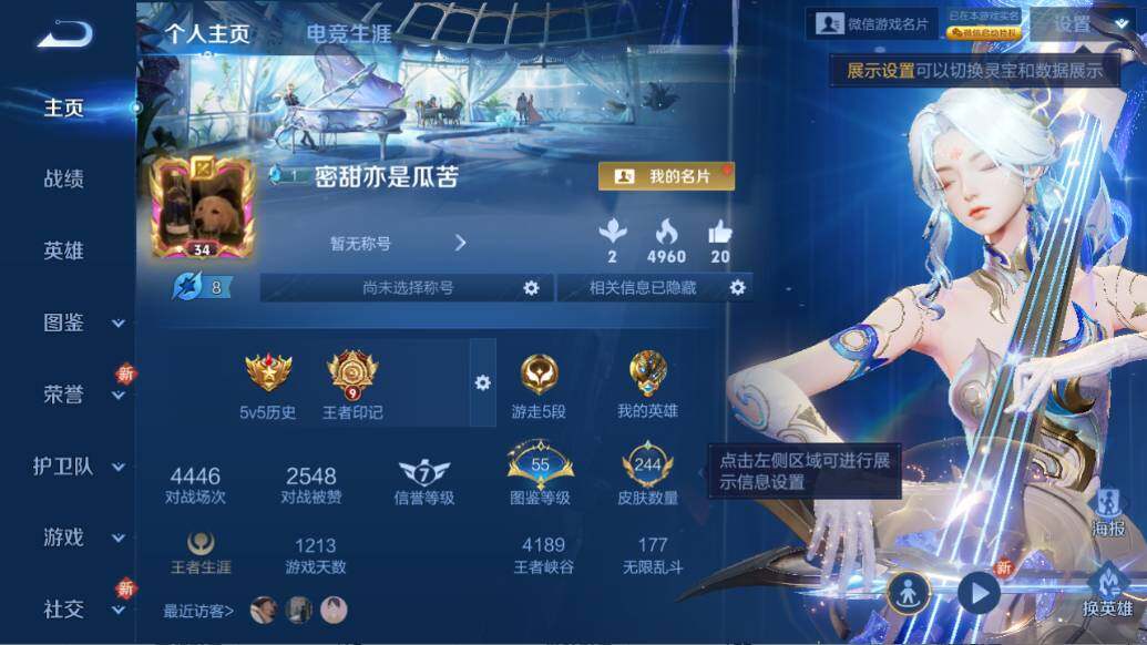 WZLE3372996王者荣耀账号详情图6