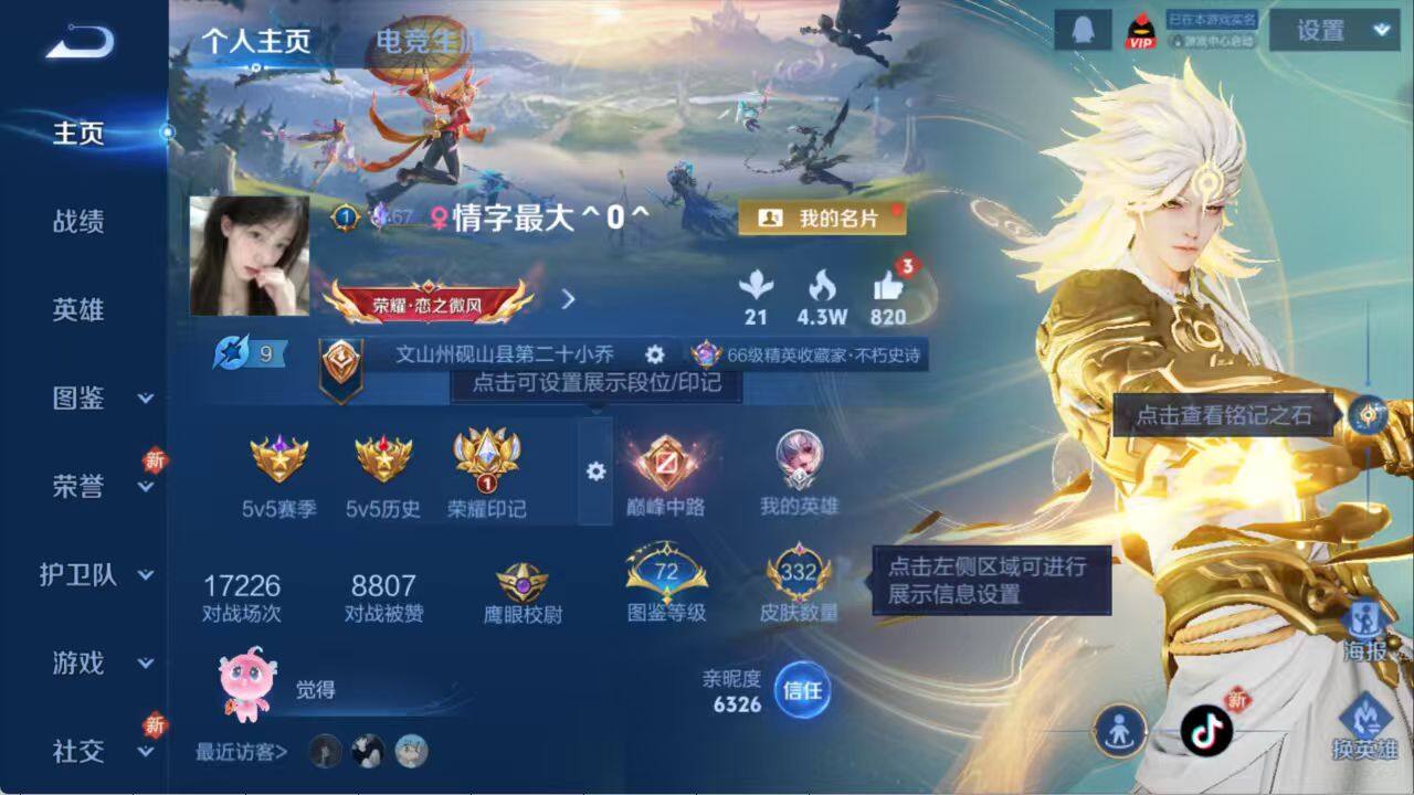 WZLX3379080王者荣耀账号详情图2