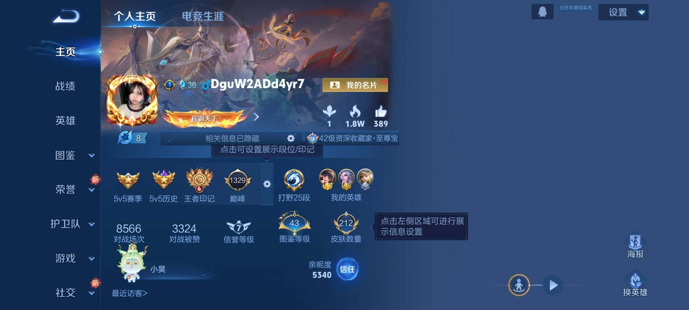 WZJZ3337440王者荣耀账号详情图5