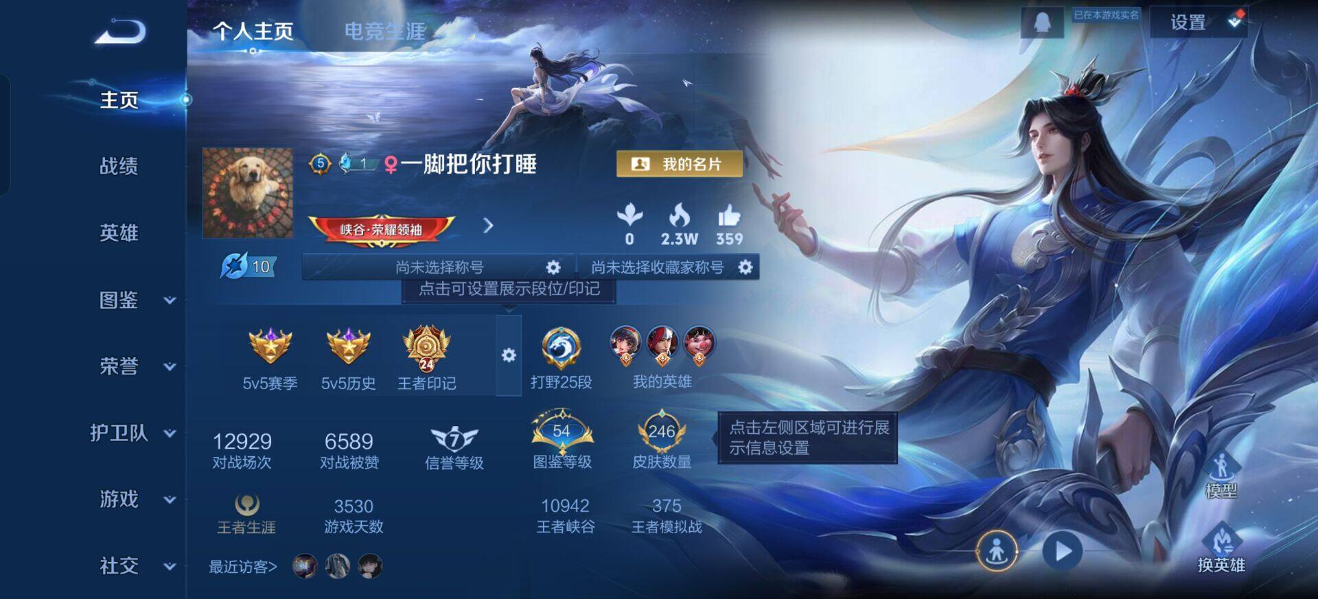 WZQM3359687王者荣耀账号详情图14