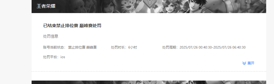 WZKG448996王者荣耀账号详情图6