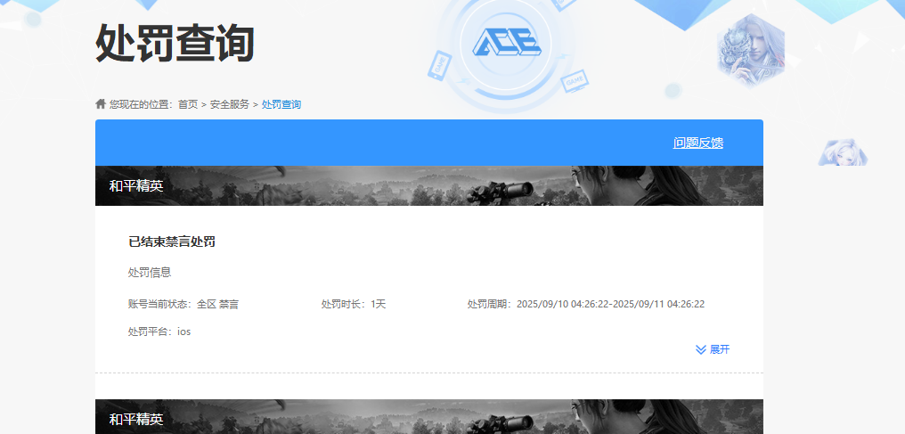 WZKG451200王者荣耀账号详情图5