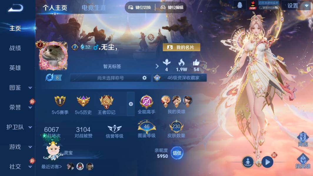 WZLX3348757王者荣耀账号详情图7