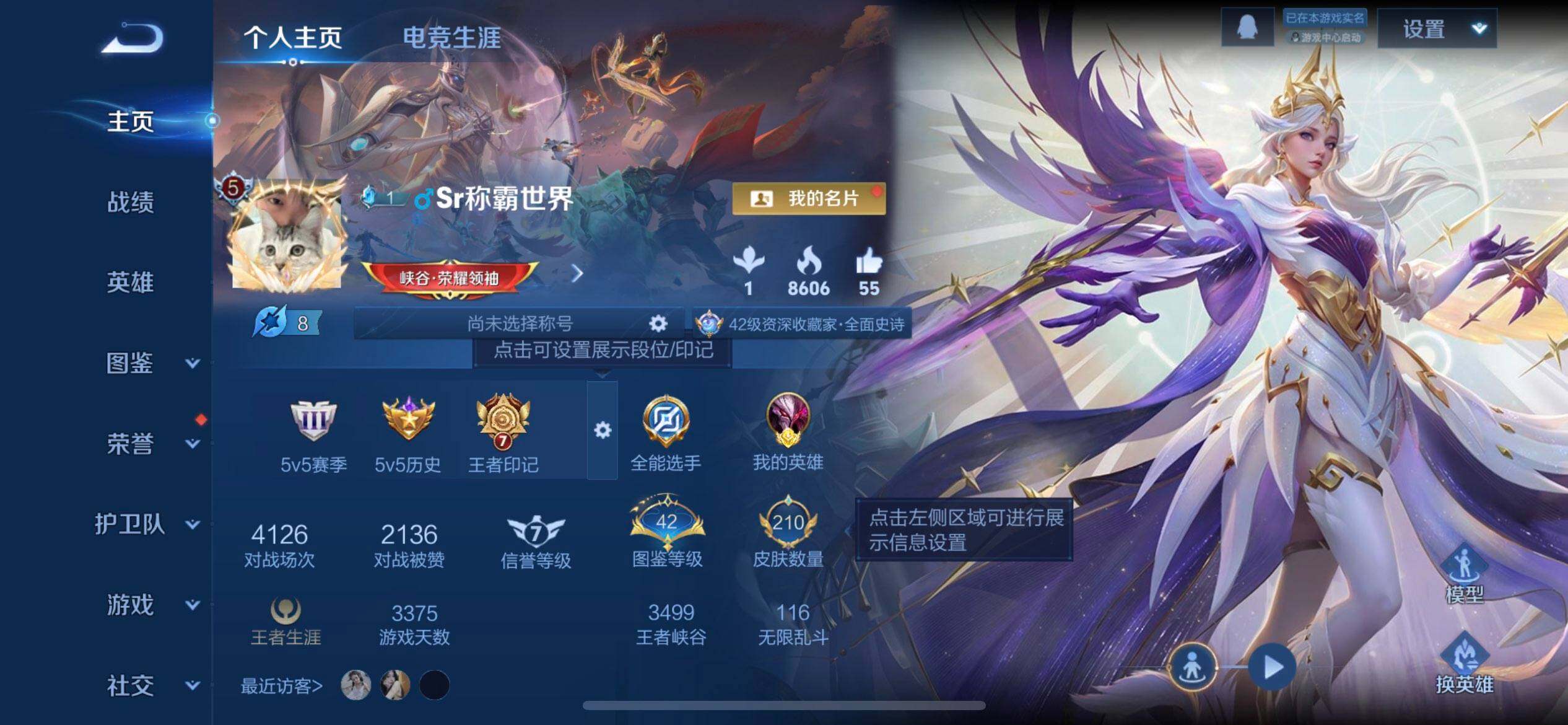 WZQM3347652王者荣耀账号详情图3