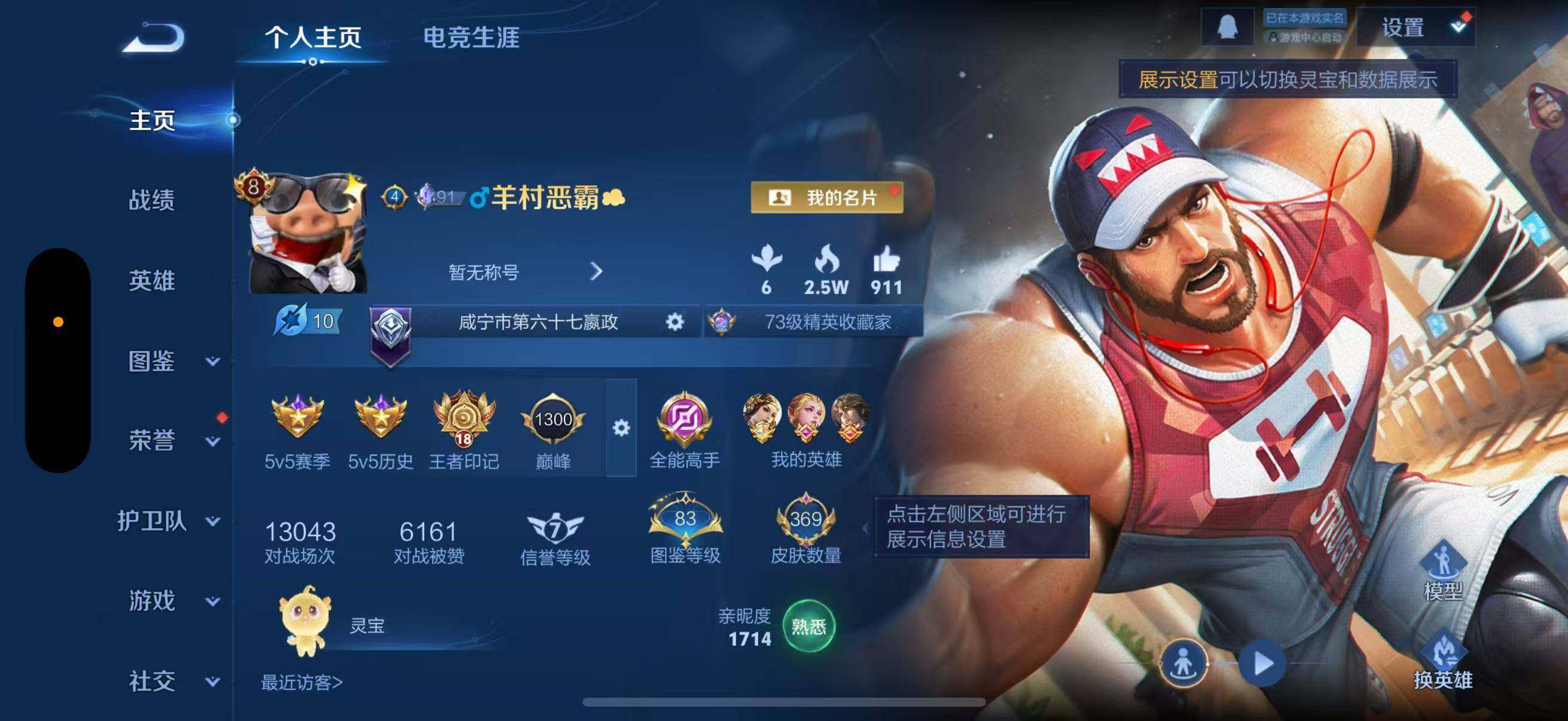 WZLFY3345307王者荣耀账号详情图3