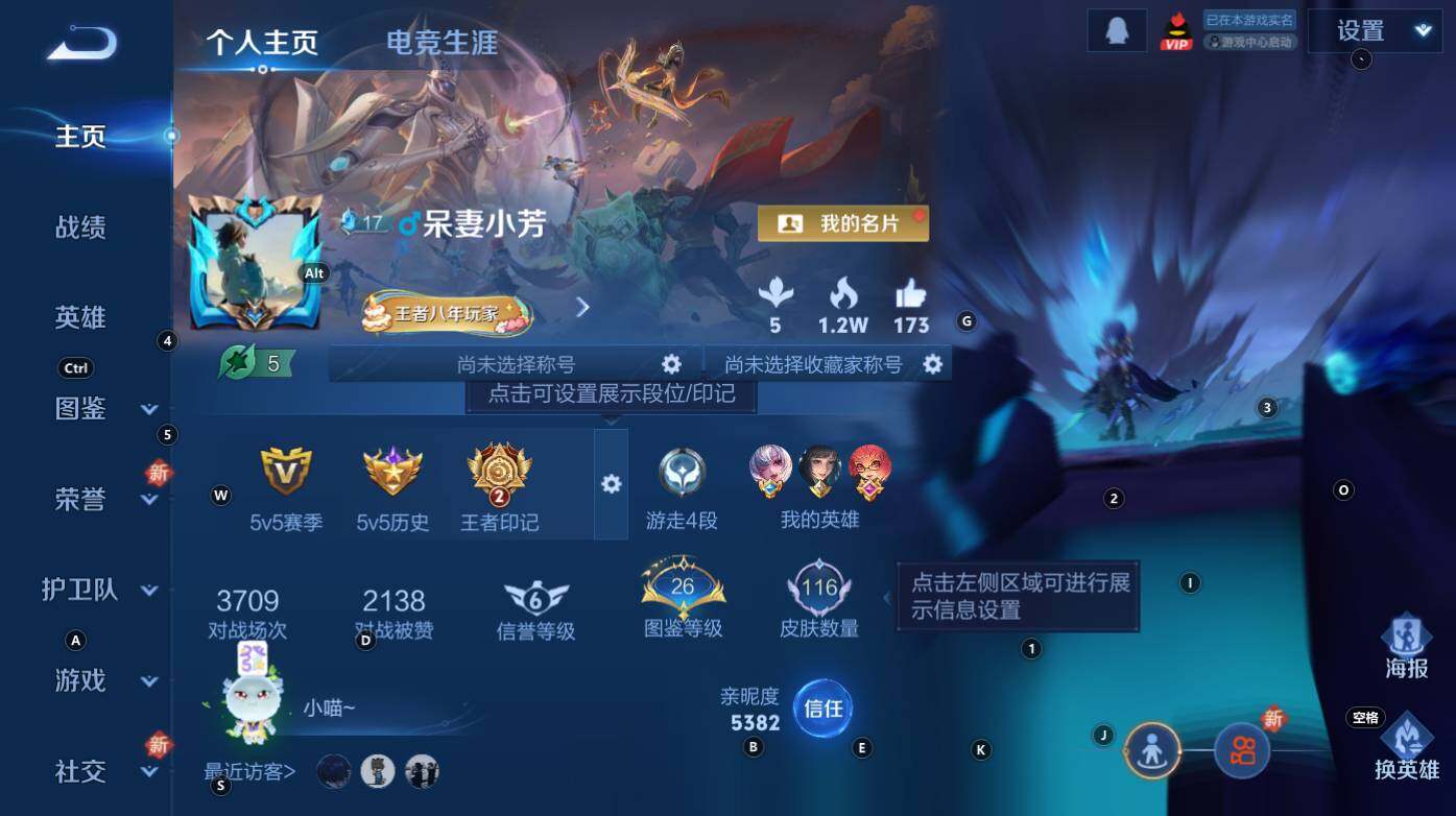 WZCMW3347822王者荣耀账号详情图5