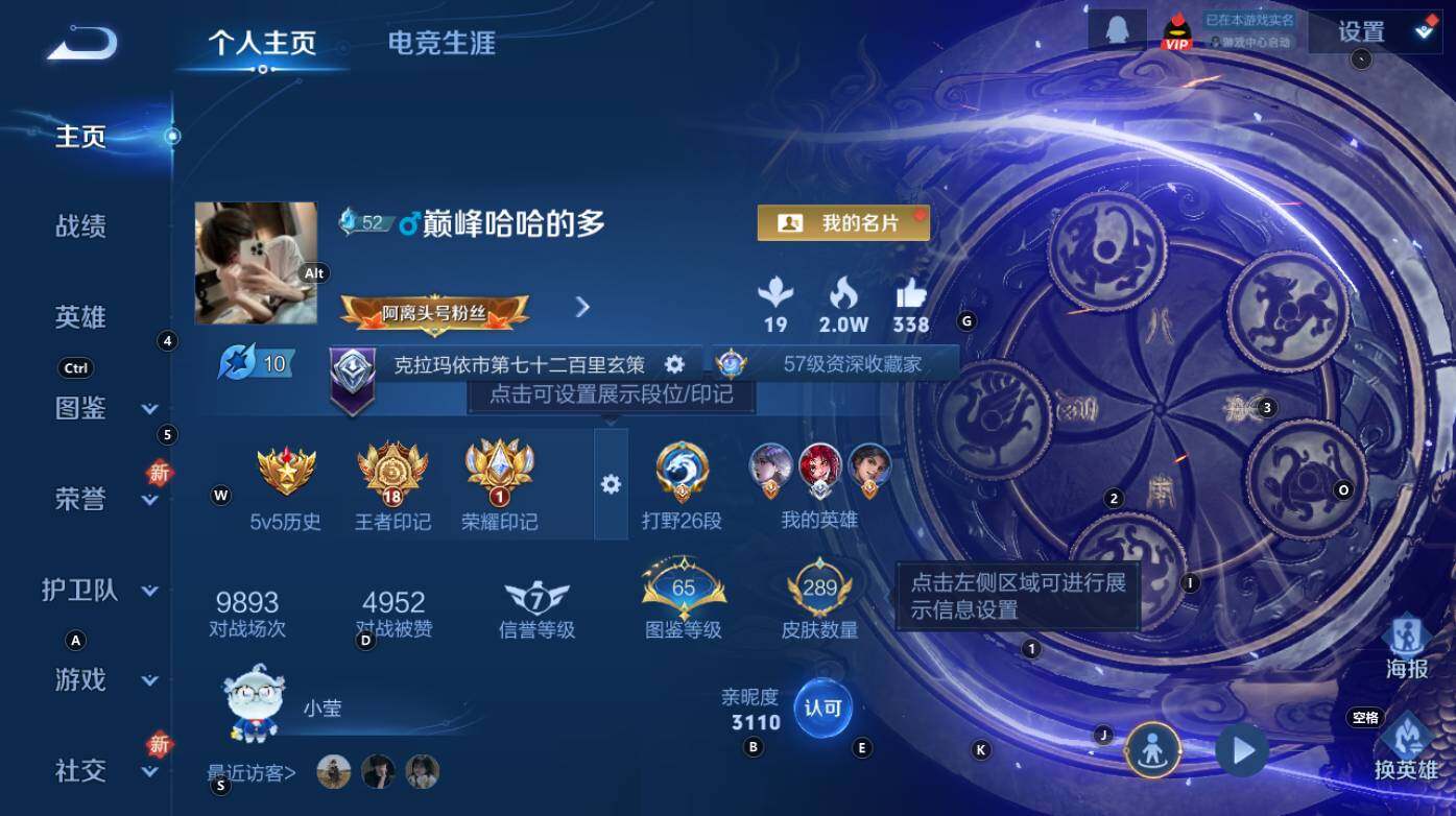 WZCMW3347823王者荣耀账号详情图8