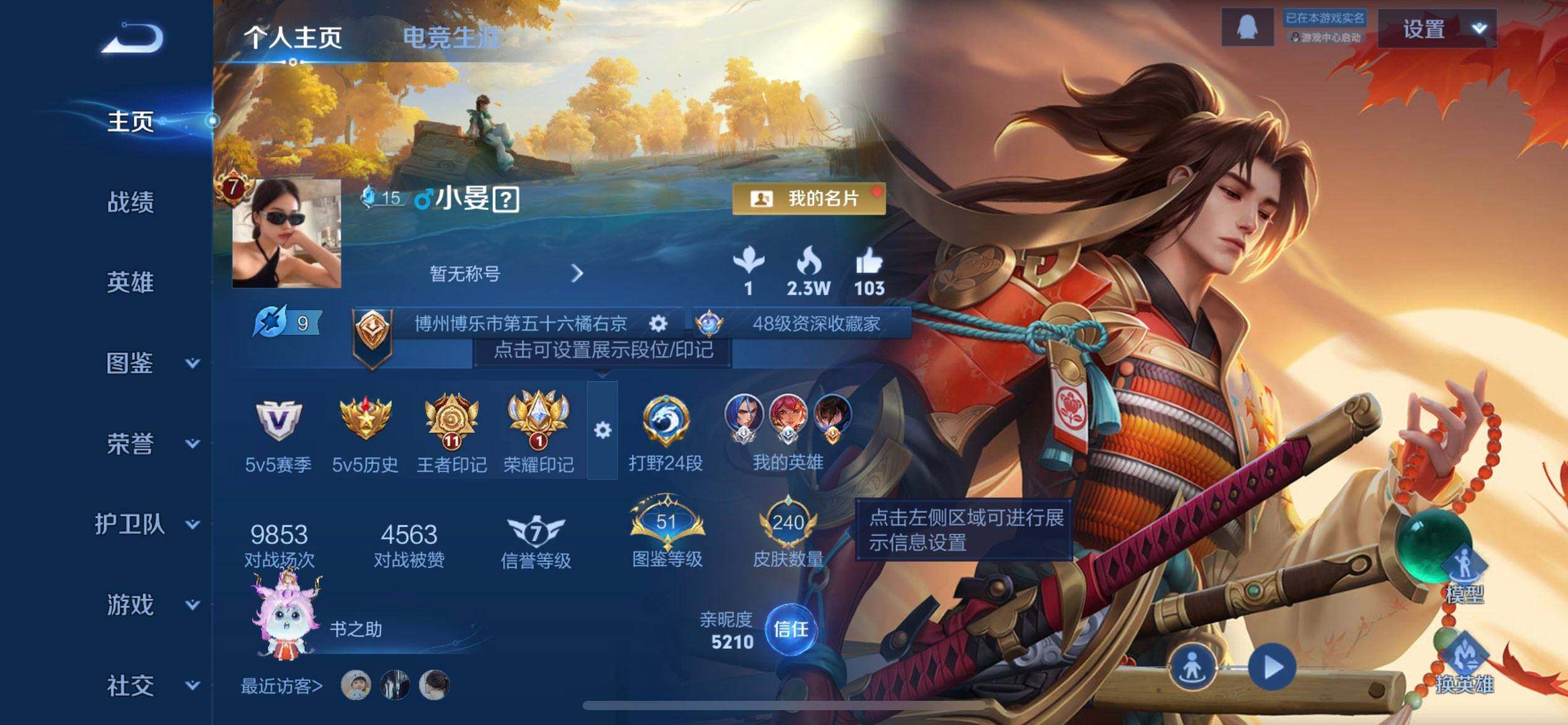 WZQM3352655王者荣耀账号详情图3 WZQM3352655王者荣耀账号详情图3