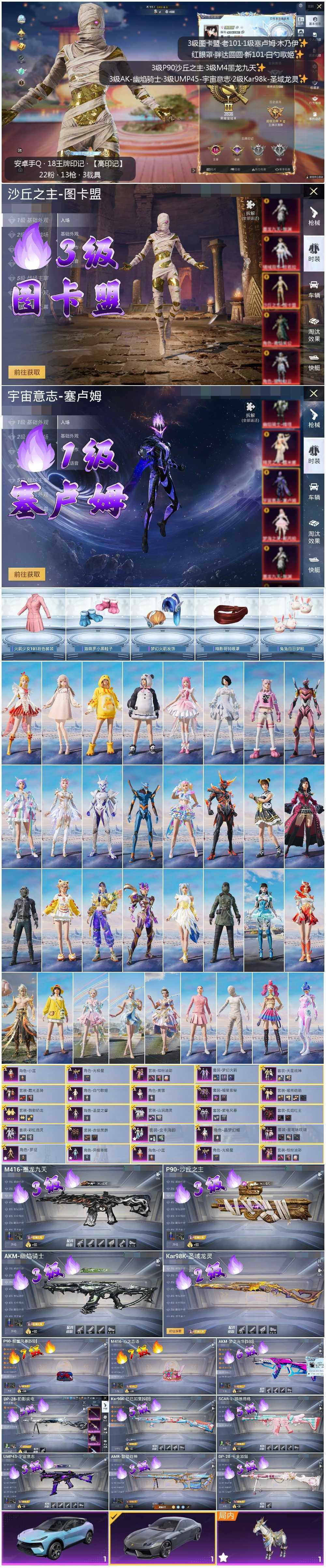 HPCMW3454476和平精英账号详情图2