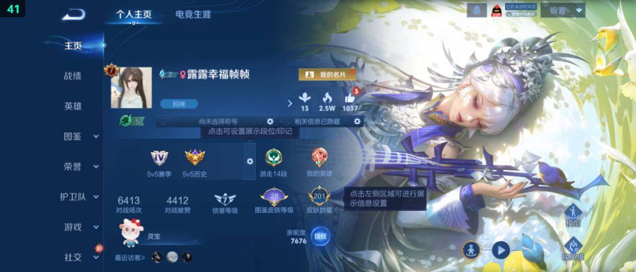 WZ0349363王者荣耀账号详情图6