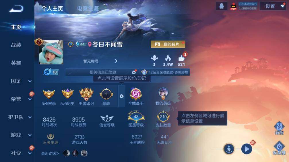 WZ0349370王者荣耀账号详情图7