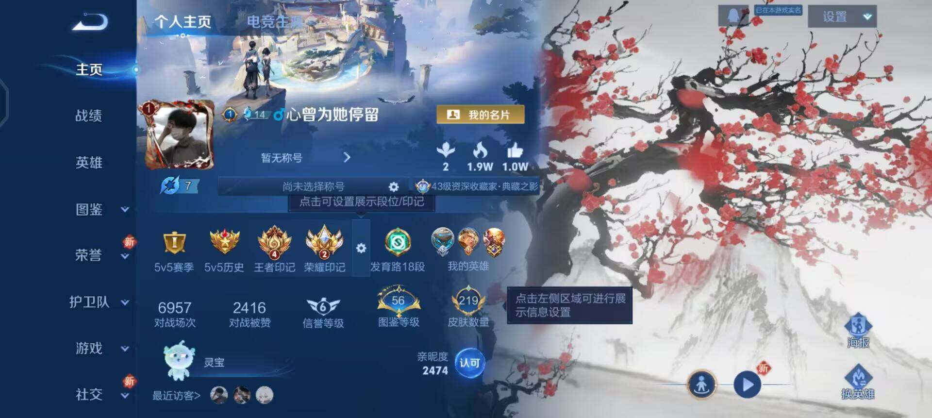 WZQM3359624王者荣耀账号详情图3