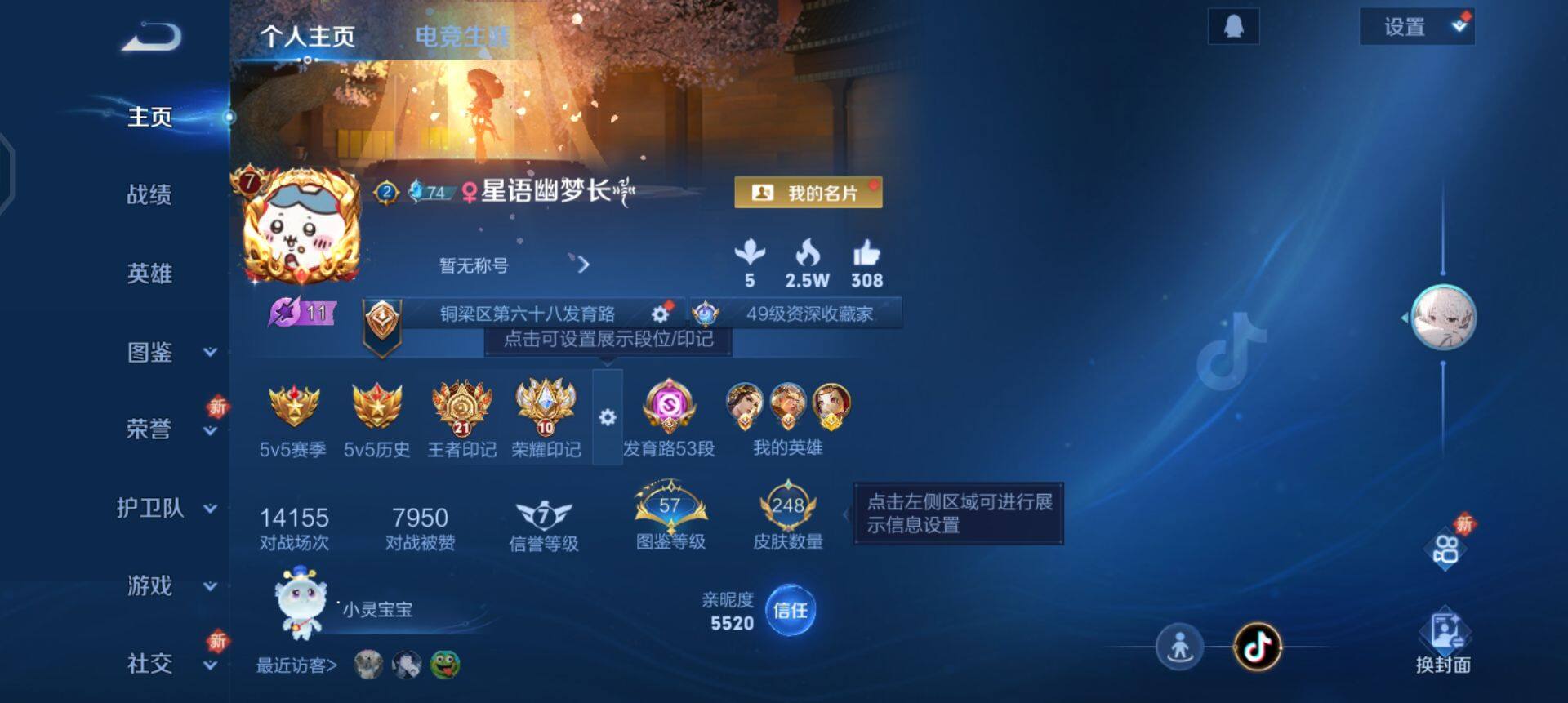 WZQM3354176王者荣耀账号详情图17