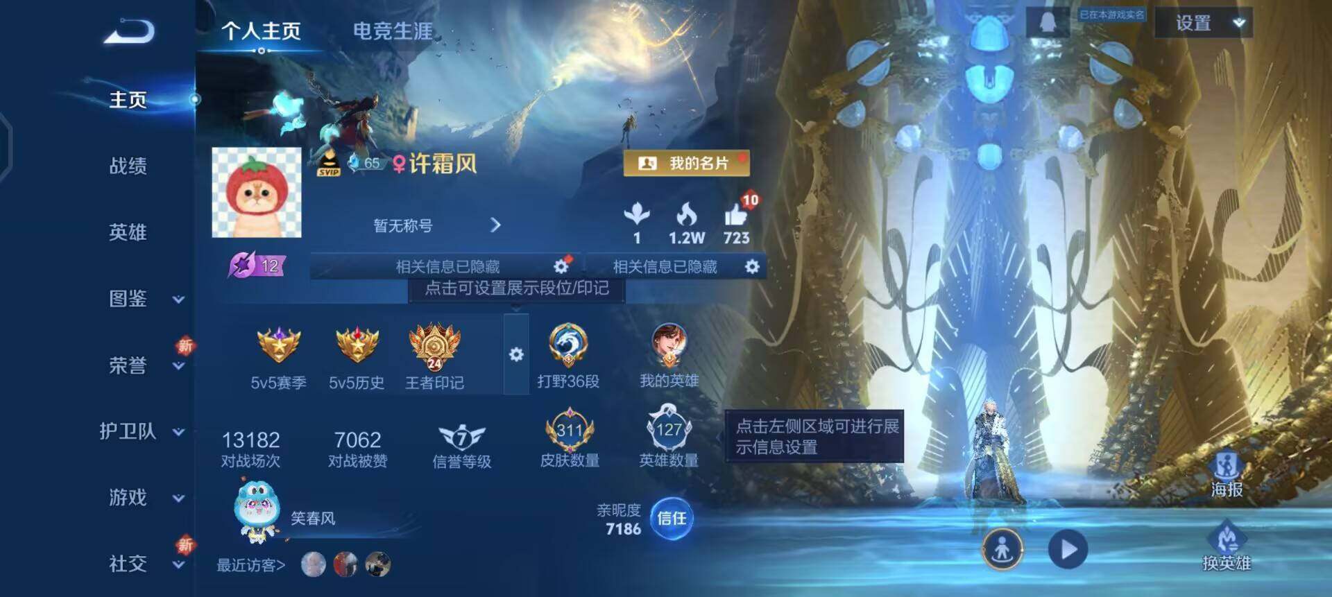 WZQM3364457王者荣耀账号详情图16