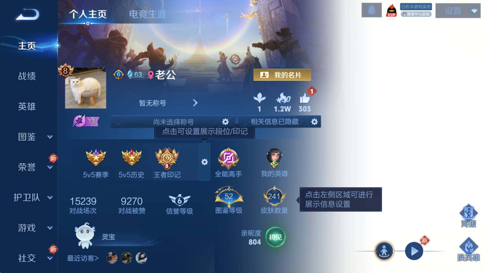 WZCMW3359319王者荣耀账号详情图6