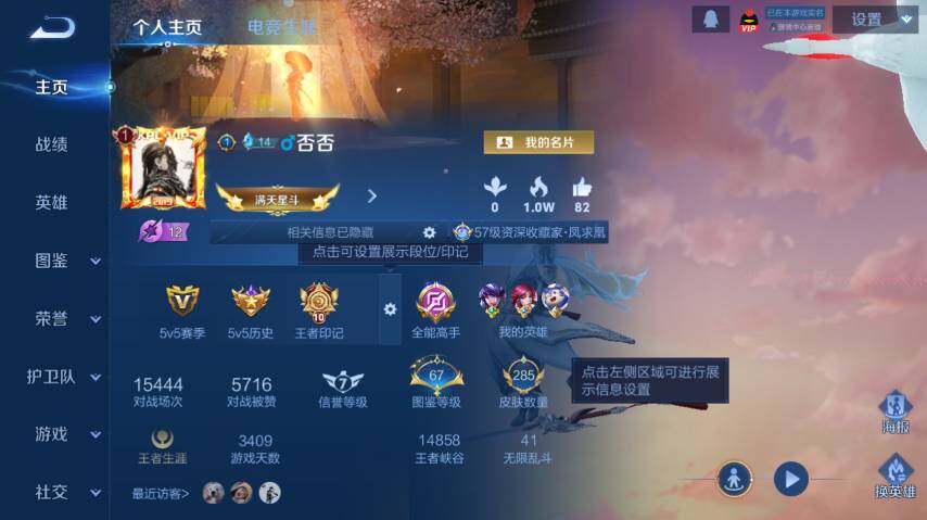 WZ0349392王者荣耀账号详情图8