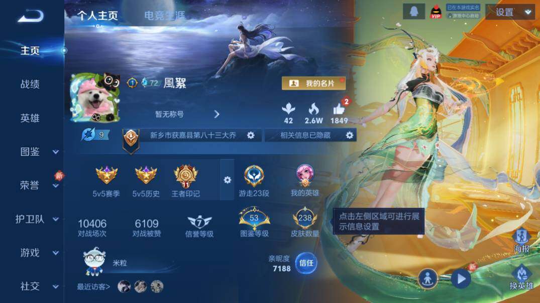 WZ0349393王者荣耀账号详情图7