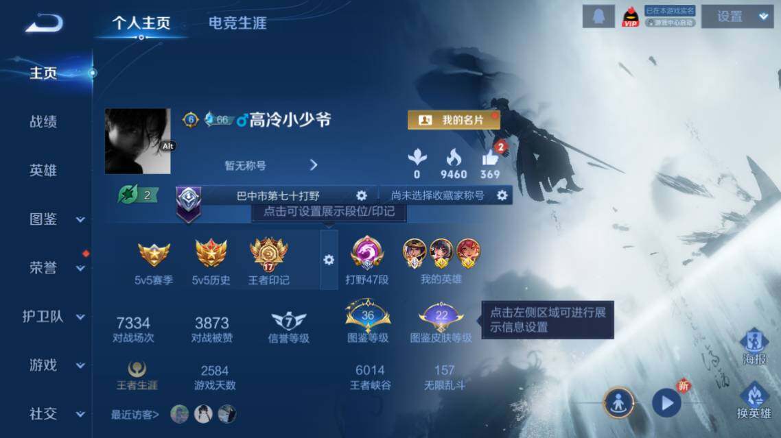 WZ0349398王者荣耀账号详情图6