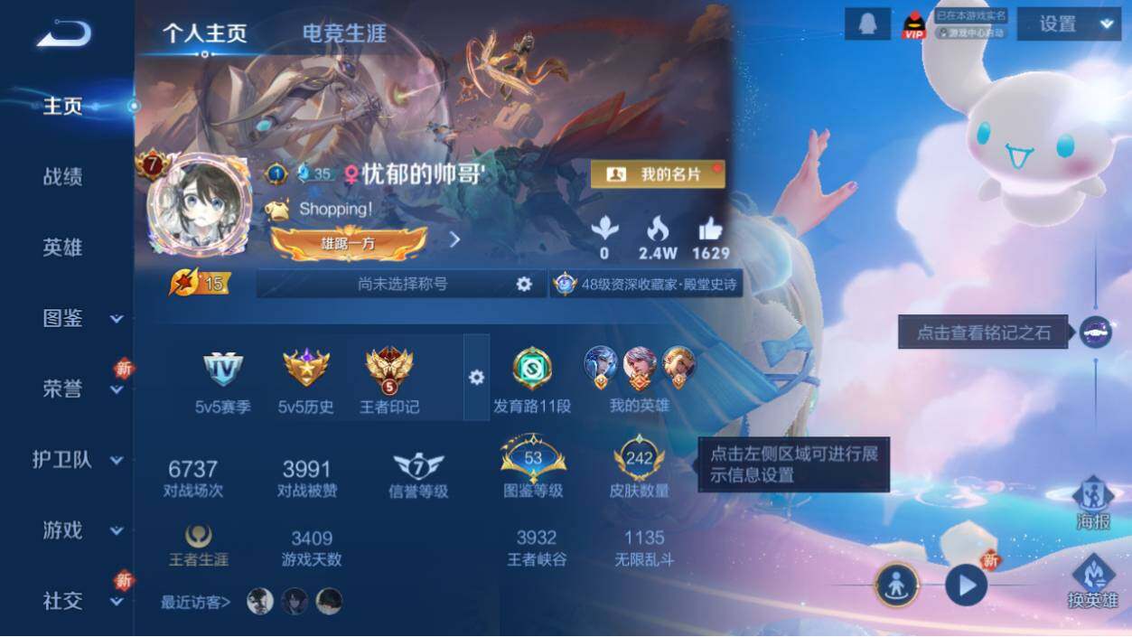 WZ0349403王者荣耀账号详情图13