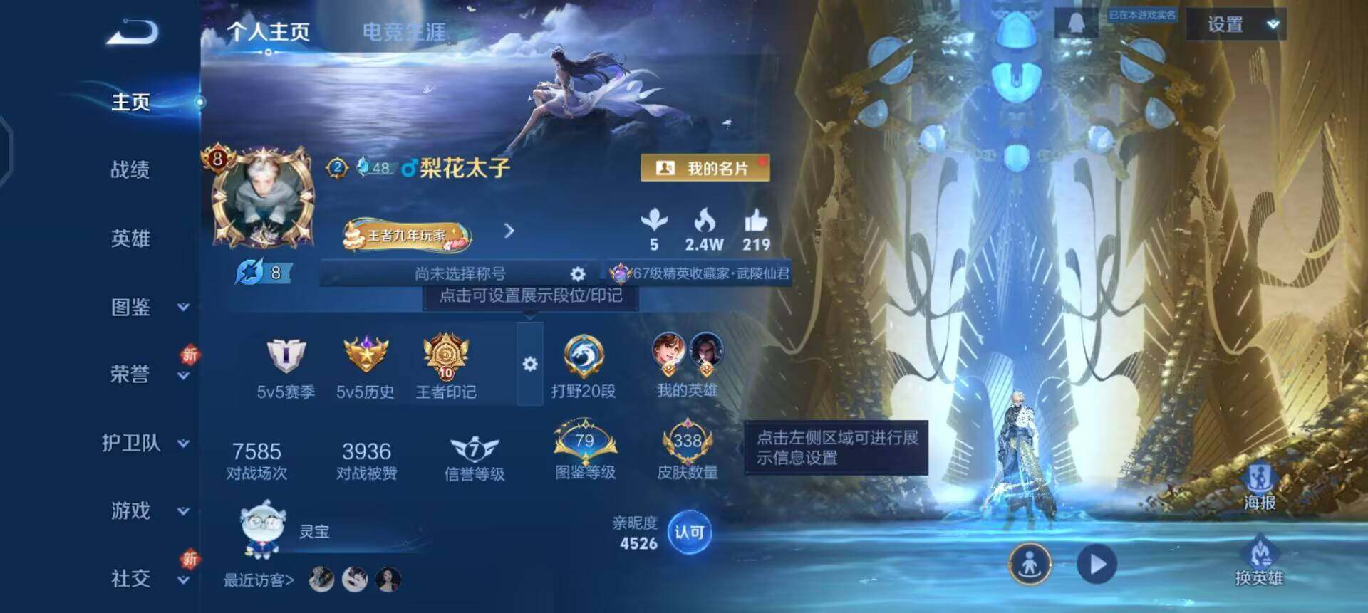 WZQM3365802王者荣耀账号详情图9