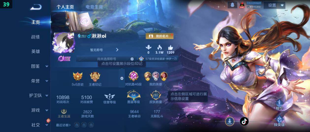 WZ0349414王者荣耀账号详情图8